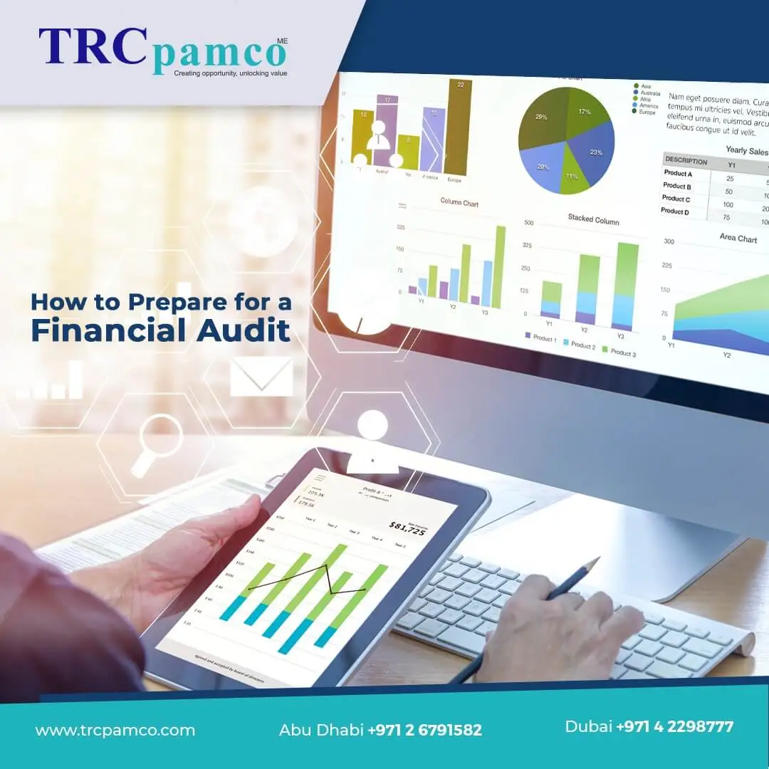 How to Prepare for a Financial Audit - TRC Pamco